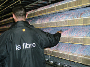 TECH_La-fibre-optique-630-orange